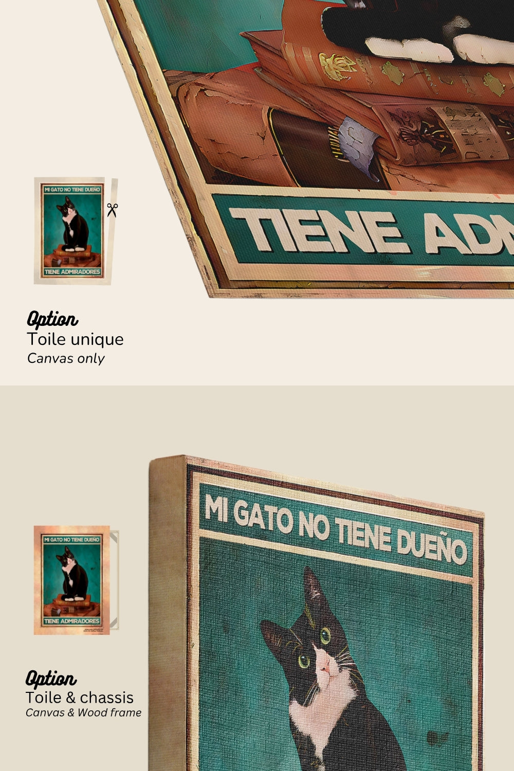 Mi gato no tiene dueño, tiene admiradores