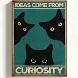 Ideas come from curiosity