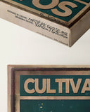 Kultiviere positive Gedanken 