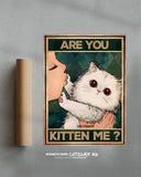 ¿Me estás tomando el pelo? 