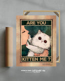 ¿Me estás tomando el pelo? 