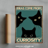 Ideas come from curiosity
