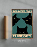 Las ideas vienen de la curiosidad 