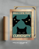 Las ideas vienen de la curiosidad 