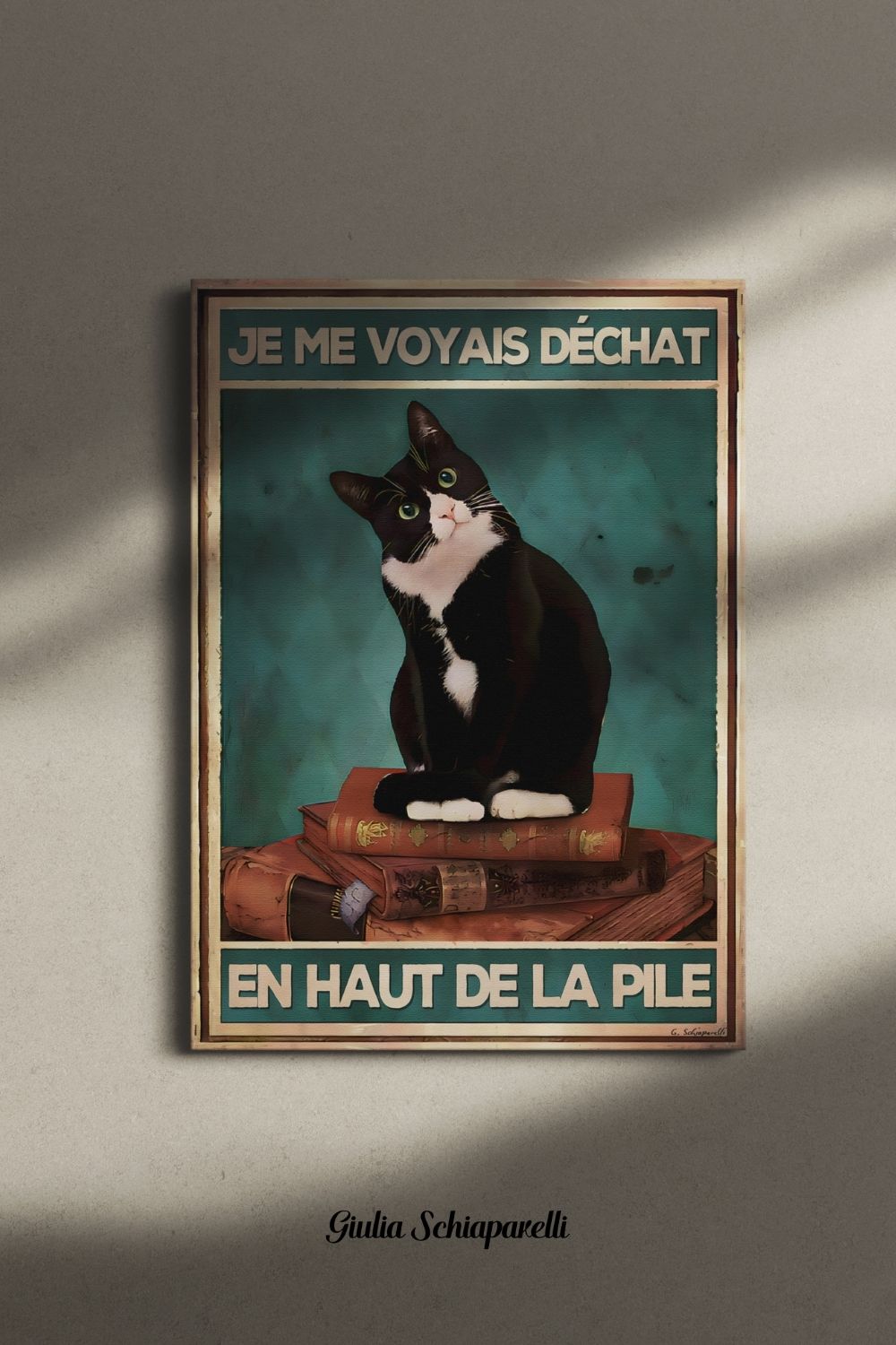 Me veía gato en la cima de la pila 