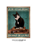 Me veía gato en la cima de la pila 