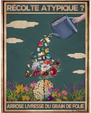 ¿Cosecha atípica? Riega la embriaguez del grano de locura 