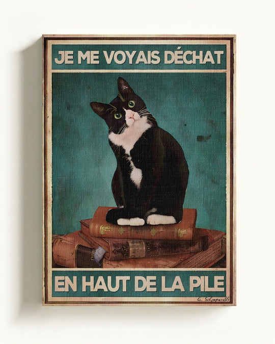 Je me voyais déchat en haut de la pile