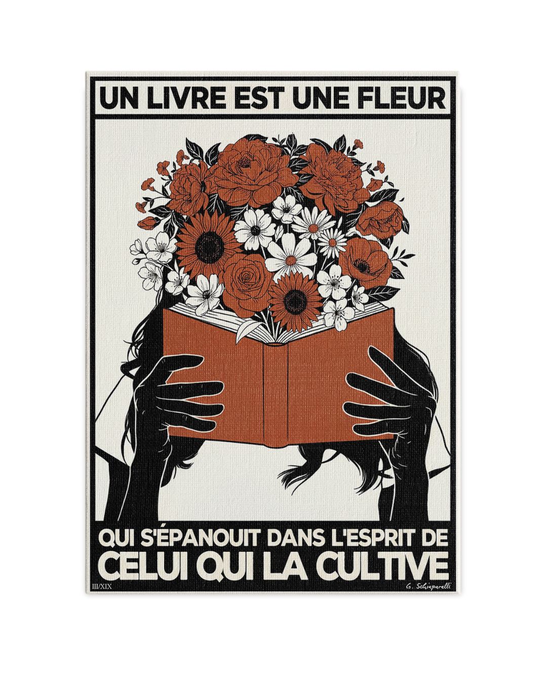 Image de diapositive