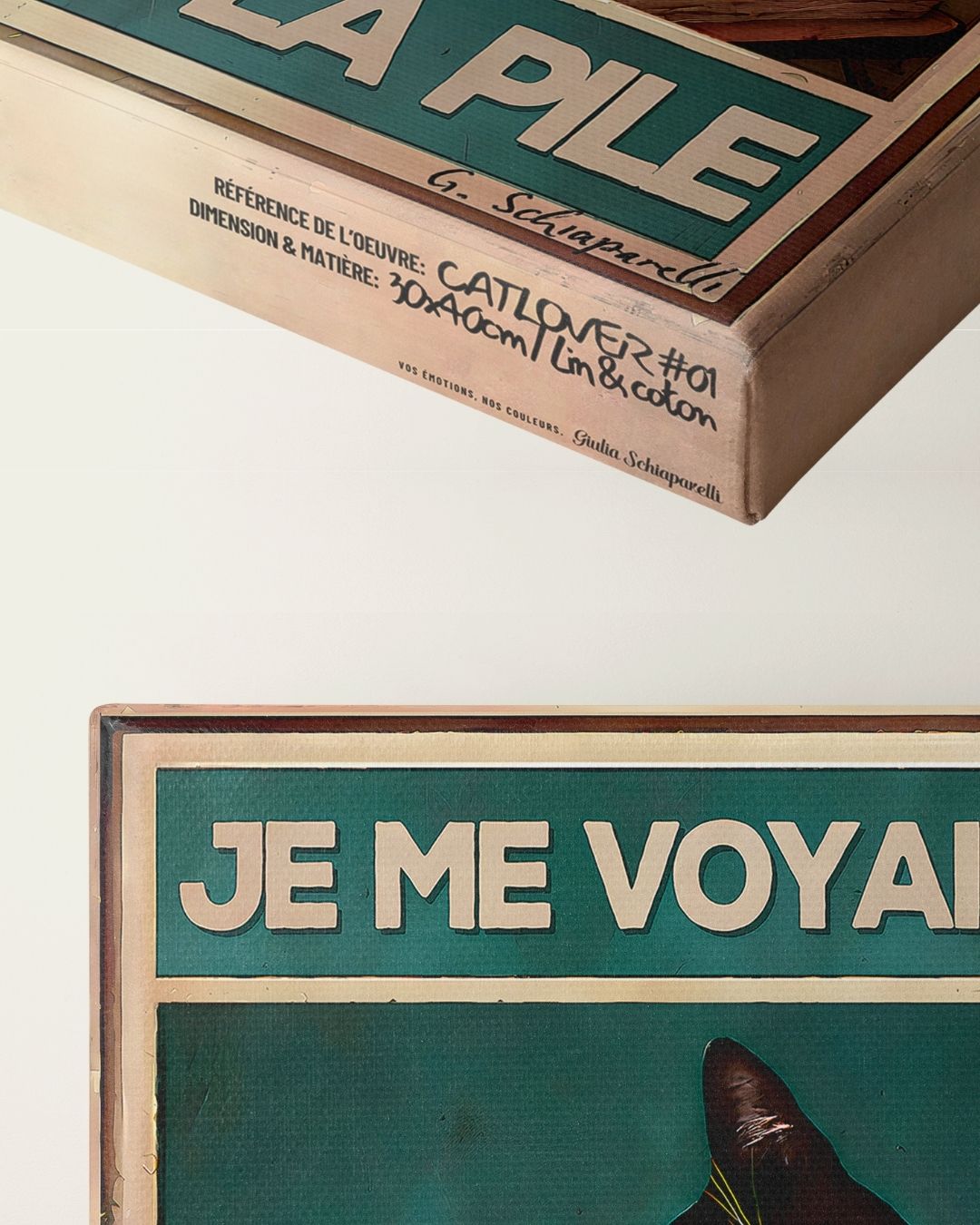 Je me voyais déchat en haut de la pile