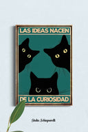Las ideas nacen de la curiosidad 