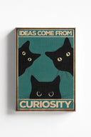Las ideas provienen de la curiosidad 