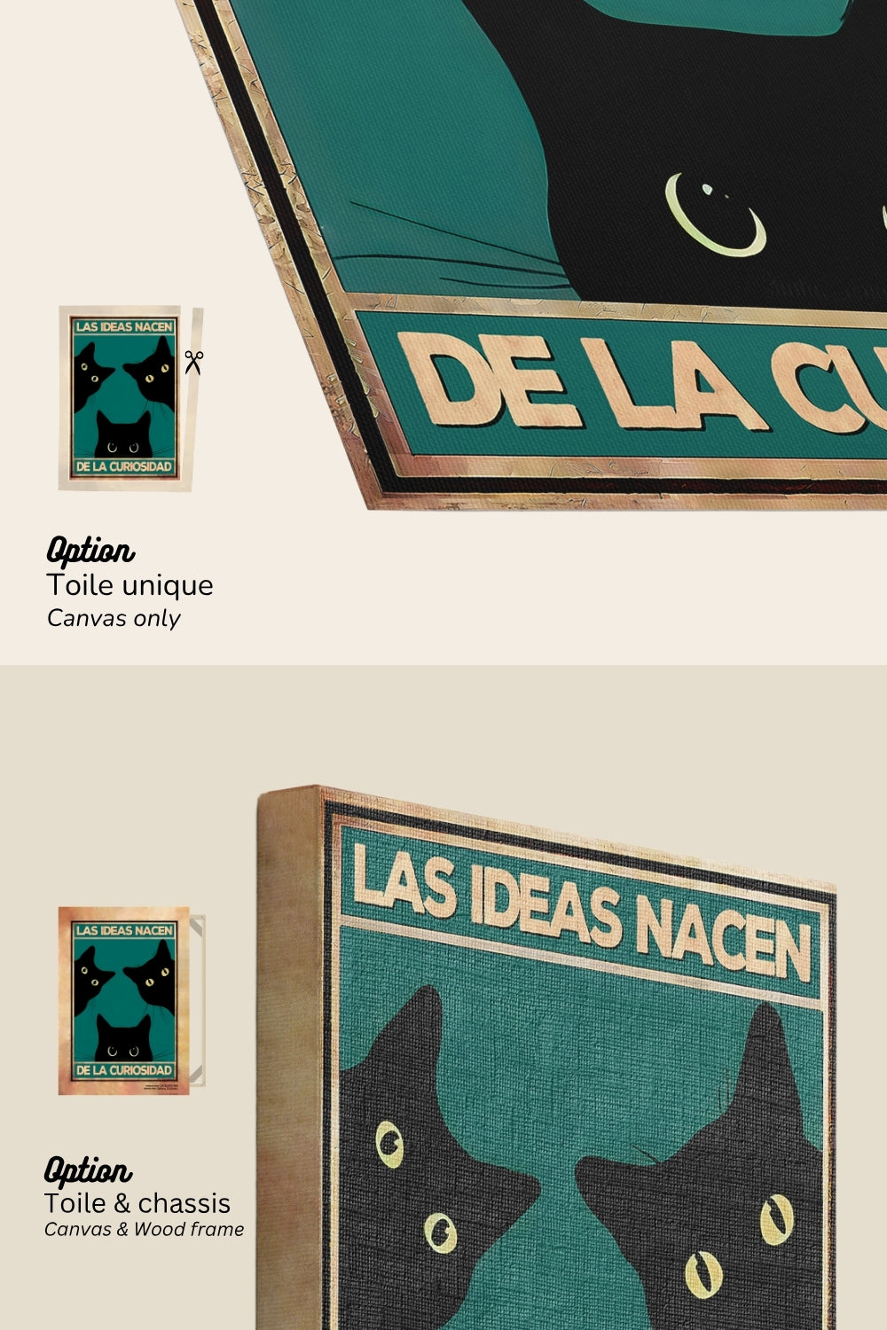 Ideas are born from curiosity 
