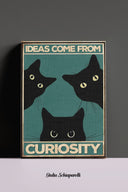 Las ideas provienen de la curiosidad 