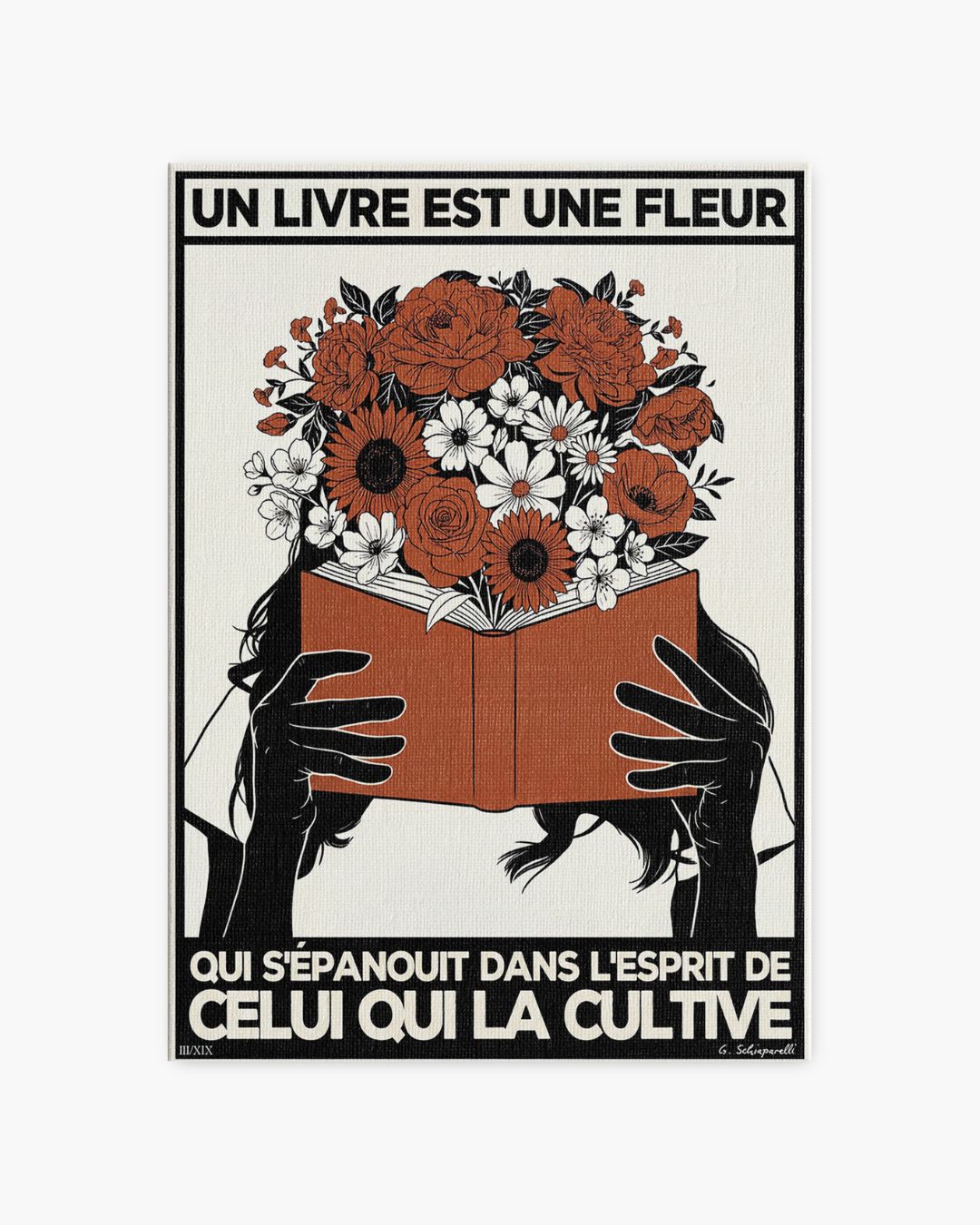 Image de diapositive