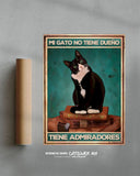 Meine Katze hat keinen Besitzer, sie hat Bewunderer 