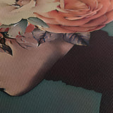 Canvas - Pluk het leven, zaai je muziek 