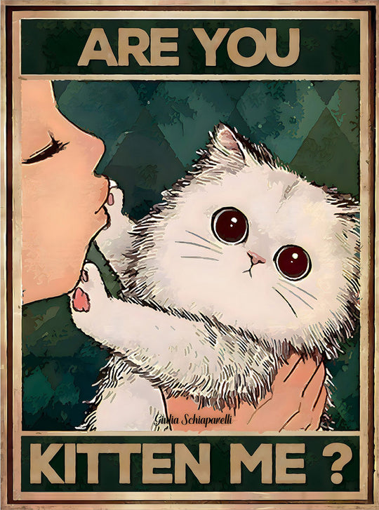 Are you kitten me? 