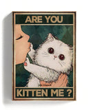 ¿Me estás tomando el pelo? 