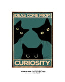 Las ideas provienen de la curiosidad 