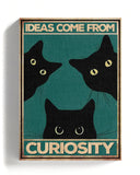 Las ideas vienen de la curiosidad 