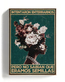 Intentaron enterrarnos pero no sabían que éramos semillas 