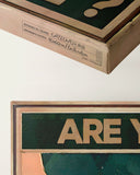 Veralberst du mich etwa? 