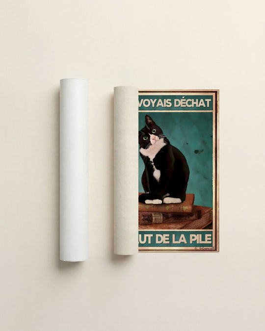 Je me voyais déchat en haut de la pile