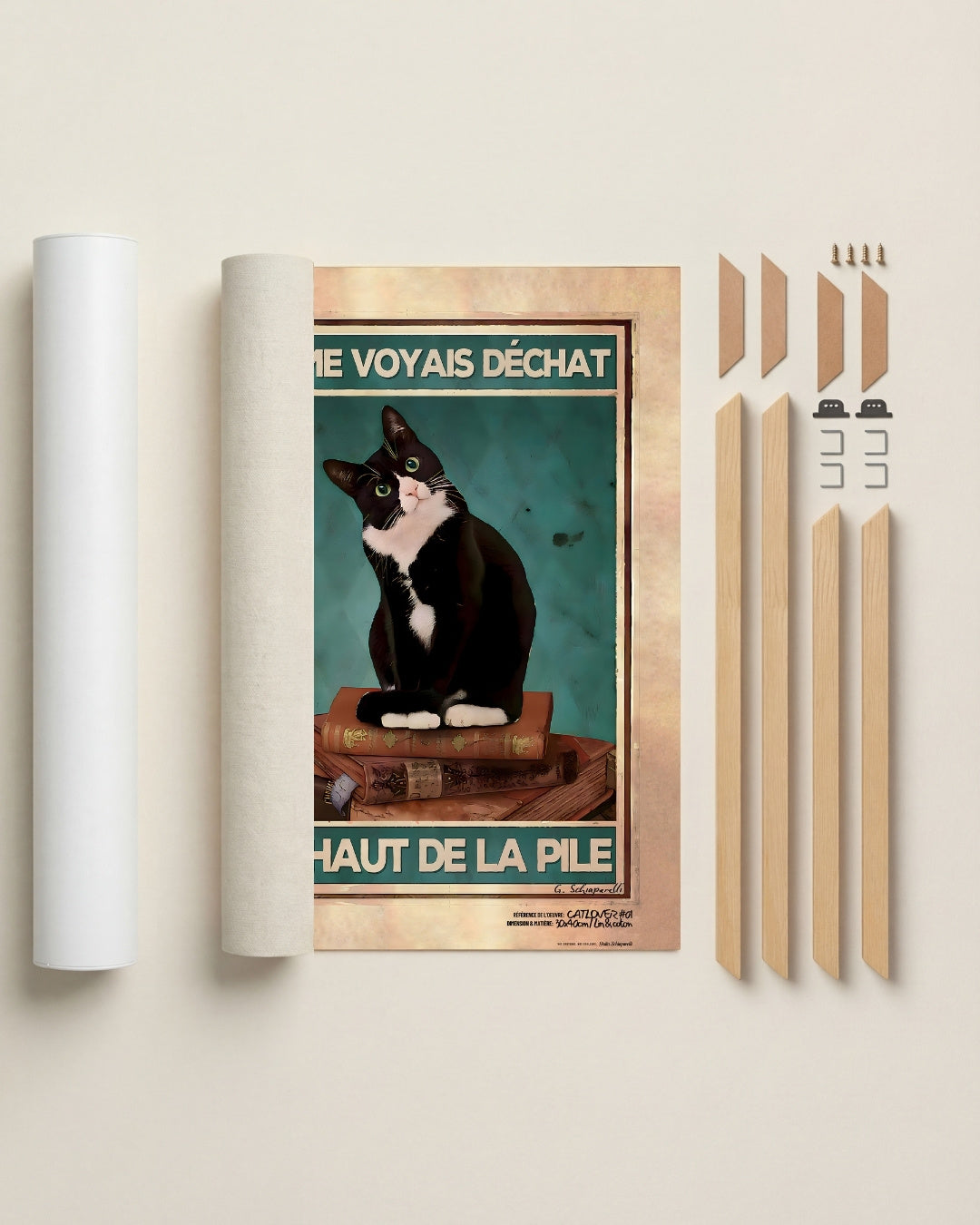 Je me voyais déchat en haut de la pile