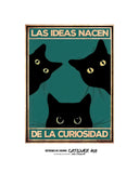 Las ideas nacen de la curiosidad 