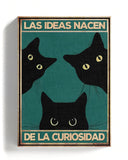 Las ideas nacen de la curiosidad 
