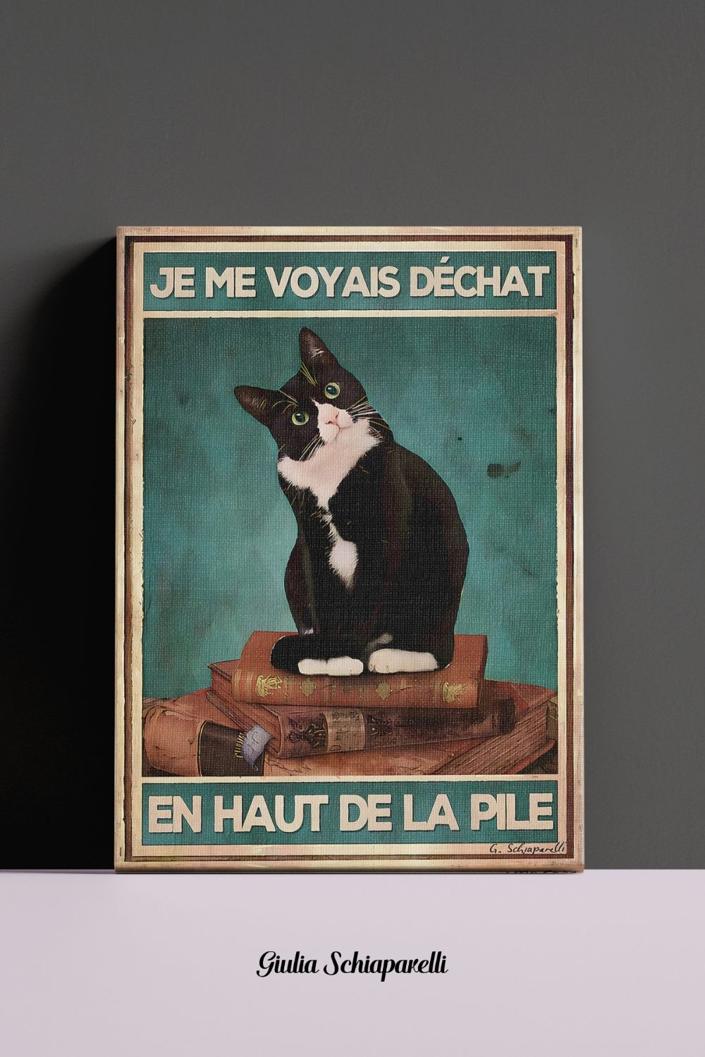 Me veía gato en la cima de la pila 