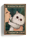 Él decrata un gato y tocó su corazón 