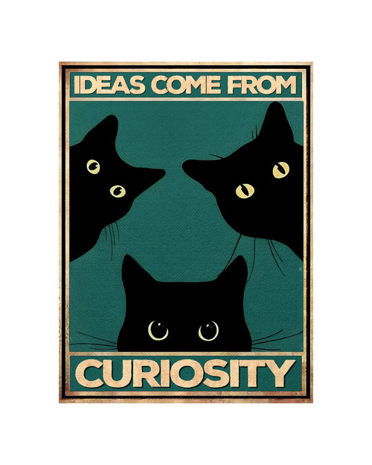 Ideas come from curiosity (Test)