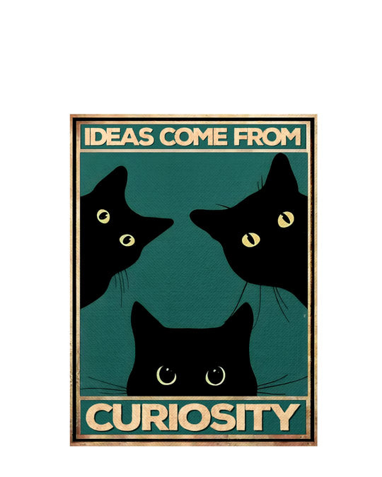 Ideas come from curiosity (Test)