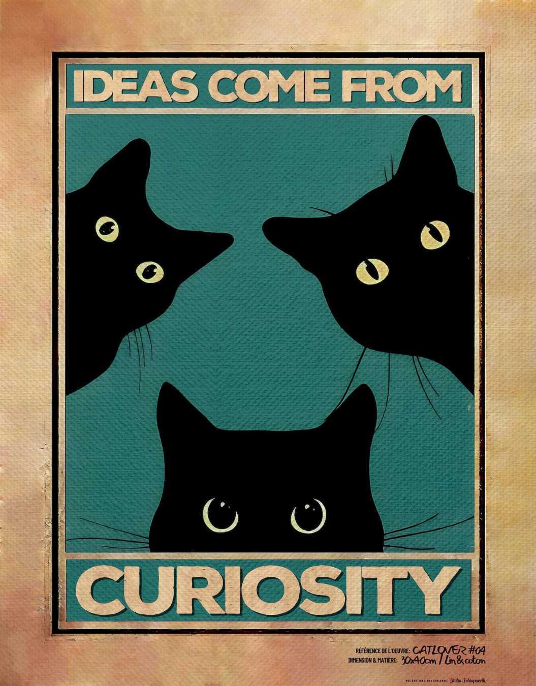 Image de diapositive