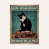 Je me voyais déchat en haut de la pile