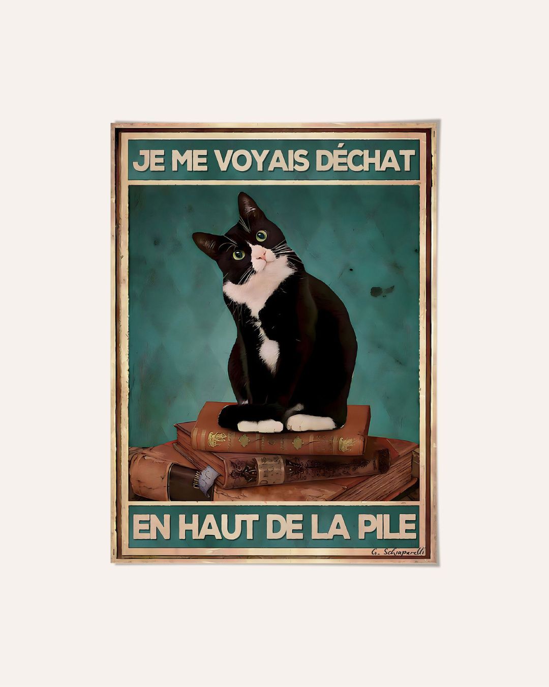 Je me voyais déchat en haut de la pile