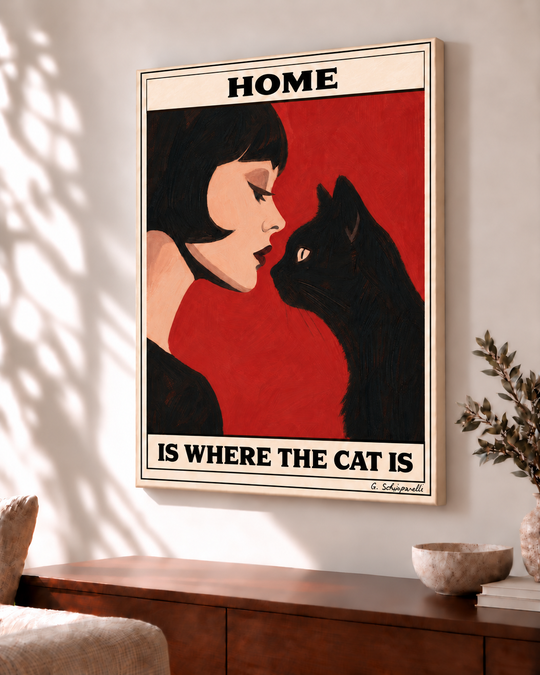 Home is where the cat is — Châssis