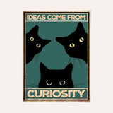 Las ideas vienen de la curiosidad 