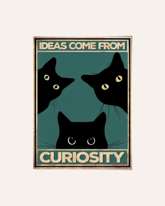 Las ideas vienen de la curiosidad 