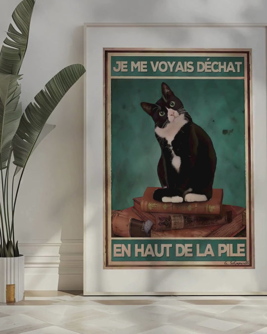 Je me voyais déchat en haut de la pile