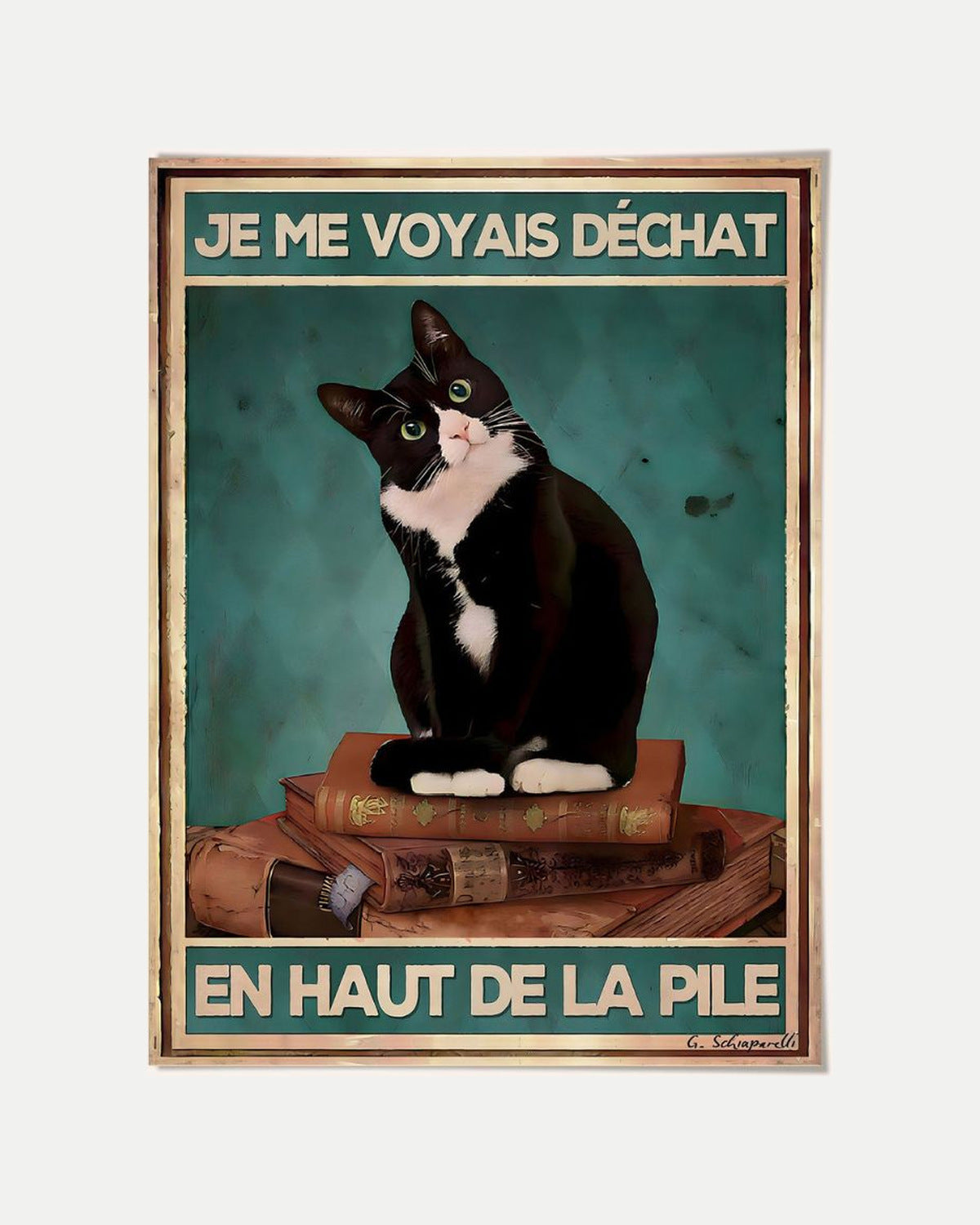 Je me voyais déchat en haut de la pile