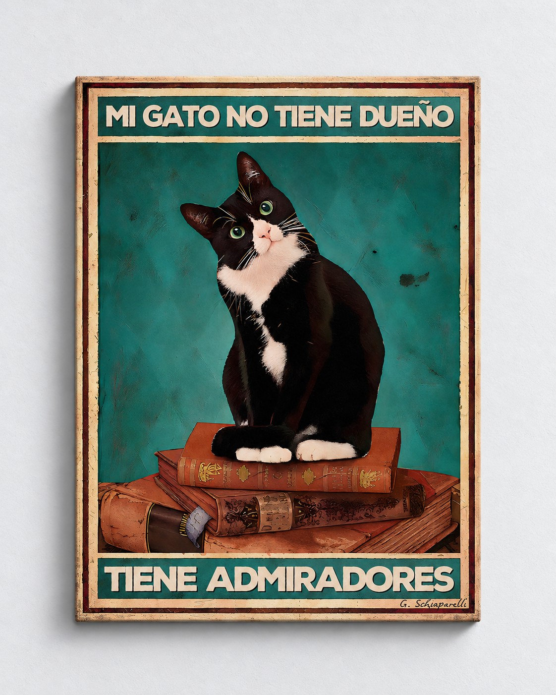 Mi gato no tiene dueño, tiene admiradores