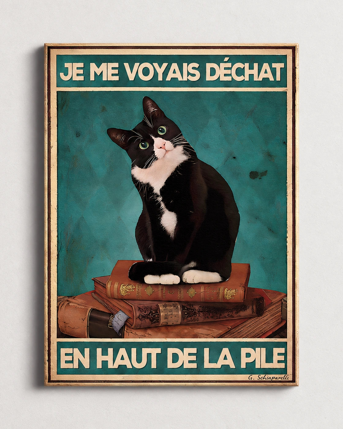 Je me voyais déchat en haut de la pile